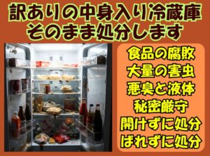 虫が大量で触りたくない冷蔵庫。すべて私たちにお任せください。